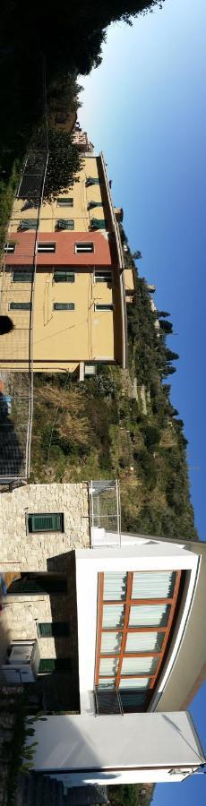 Apartments Le Terrazze Vernazza Dış mekan fotoğraf